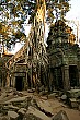 The forest slowly reclaims the temple as its own at Ta Phrom; Siam Reap, Cambodia