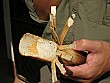 Sticky rice cooked in a hollowed out bamboo shoot is a wonderful snack.