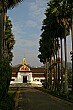 The tree-lined path leading to the Luang Prabang Museum, formerly the Royal Palace.