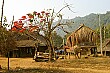 One of the peaceful villages we walked through, complete with a poinsetta tree.