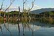 The river was incredibly calm as we raced along in our B-52 boats.