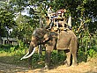 Getting ready for our ride on a pachyderm... going by elephant is a great way to go on safari!