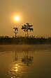 Mist floats along the river surface in the morning light.