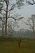 An elderly man strolls to work carrying his tools.