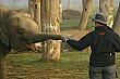 Jen has a close encounter with a young elephant.
