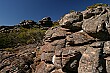 There were many interesting rock formations near the top of the hike to the Pinnacle.