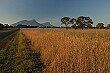 Leaving the Grampians in the afternoon to head south, we quickly enter flat farmland.
