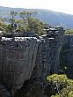 Winston looks over the edge of the cliff at the Pinnacle, a spectacular lookout point on the end of a rock outcrop.